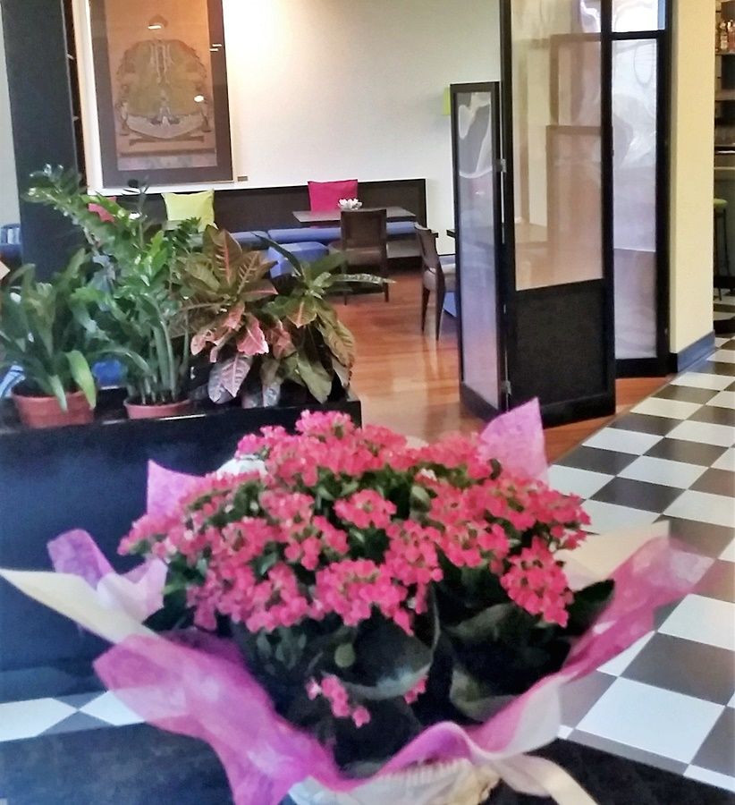 Verdemilia Hotel Анцола-делл'Емілія Екстер'єр фото